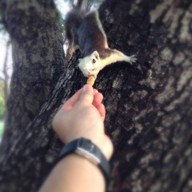 ร้านตุ๊ก อาหารตามสั่ง สวนรถไฟ