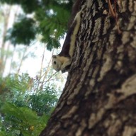 ร้านตุ๊ก อาหารตามสั่ง สวนรถไฟ