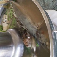 เฉี่ยวโอชา อ่าวประจวบ