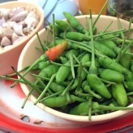 วรรณิภา