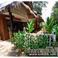 กาแฟใบไม้