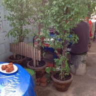 ส้มตำซาดิส