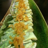 Genji Swissotel Nai Lert Park Hotel