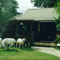 กาแฟคนรักษ์สวน