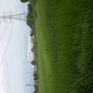 แม่ลาปลาเผา