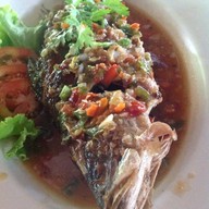 ครัวริมรั้ว