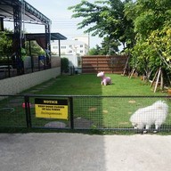 Charmar Cafe and Dog services (ชามา)