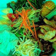 ส้มตำโซ้วหรั่ง