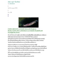 ข้าวใหม่ปลามัน พระราม 4