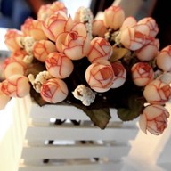 Mosa Coffee & Pleasure