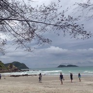 กาแฟ หาดน้ำใส