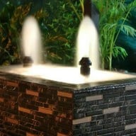 Afternoon Coffee By Bow