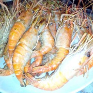 ริมหาดทะเลสด