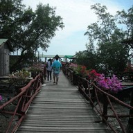 ทับทิมทอง