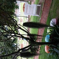 The Banyan Leaf Resort