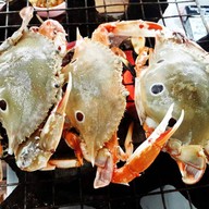 ตังค์เต็ม กุ้งย่าง ติวานนท์