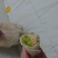 โรตีสายไหมประเสริฐ @วังหลัง