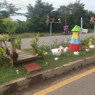 ป.ปลากาแฟสด