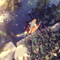 Jin House Home Bakery&Coffee