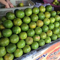 ช้างโชกุนเบตง