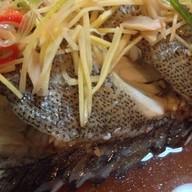 ชายเลซีฟู้ด