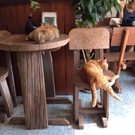 โอเพ่นแอนด์โคลสคาเฟ่