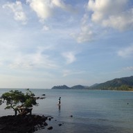 โชคดีซีฟู้ด