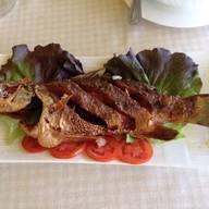 Wild Rose restaurant ปากช่อง