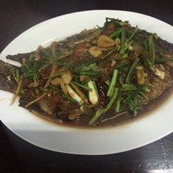 วัชร แม่สลอง