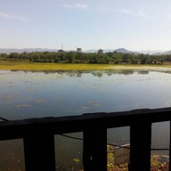 ครัว คุณแหม่ม