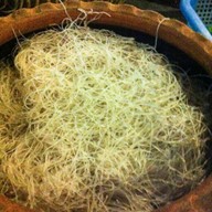 แก่นจันทร์