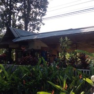 กาแฟใบไม้