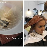 The Cortice Hair Salon