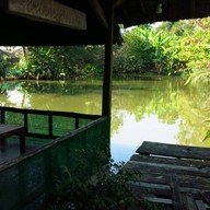 สวนอาหารกินข้าวกินปลา