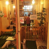 Kid Cat Cafe
