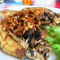 สวนอาหารกินข้าวกินปลา