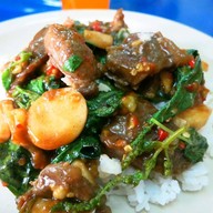 ข้าวซอยเชียงใหม่