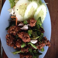 ป้าจุกอาหารป่า