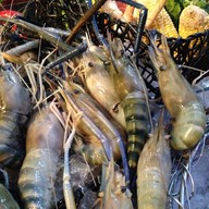 Luna Sky Garden Cafe’ โรงแรมโกลว์ ประตูน้ำ