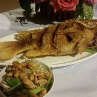 สวนสนุก Bar&restaurant