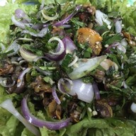 ศรีพยงค์ทะเลเผา