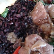 Bearista Cafe