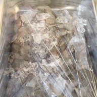 สไปซี่ สุกี้ บุฟเฟ่ต์