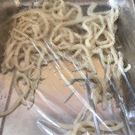 สไปซี่ สุกี้ บุฟเฟ่ต์