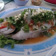 หม่อนไหม