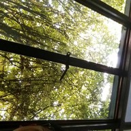 Golden Dragon Restaurant