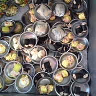 แต่เตี้ยม หาดใหญ่ใน