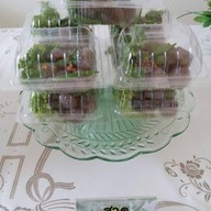 หวานกำลังดี