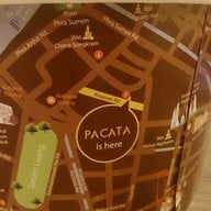 Pacata