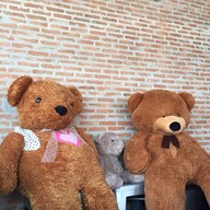 Bearista Cafe